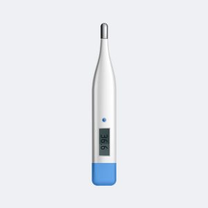 Digital Thermometer